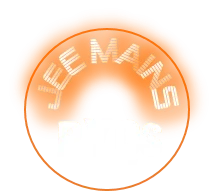 JEE Mains Pyq